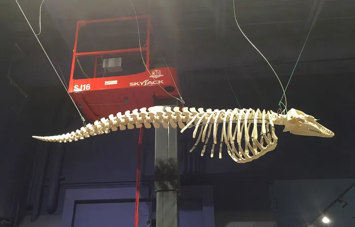 Aluguel de Plataformas em Pereiras